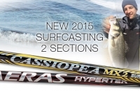 New Surfcasting Rods 2 sections