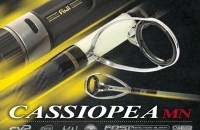 Cassiopea MN Surfcasting Rod